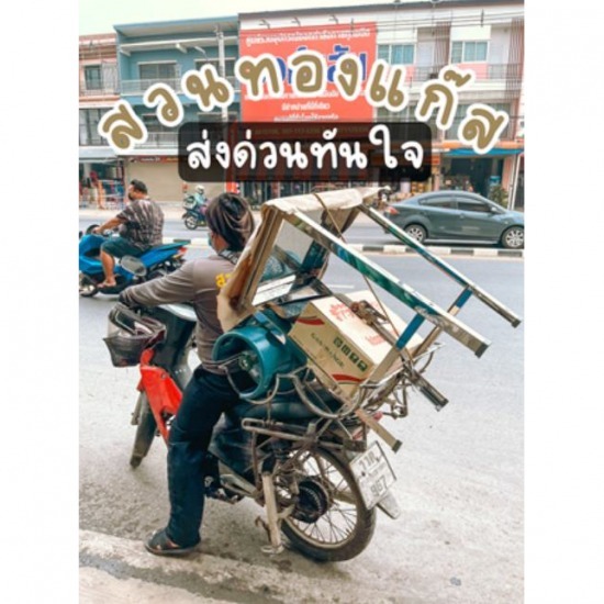 ร้านแก๊ส ลำลูกกา คลอง4 ร้านแก๊ส ลำลูกกา คลอง4 